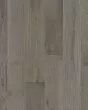 Natural Forest Oak 4" Winter Neutral Hardwood