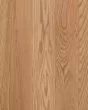 Natural Forest Red Oak Natural 5" Solid Hardwood