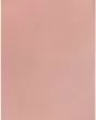 Nourison Essentials NRE01 Pink Area Rug