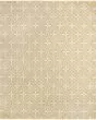 Nourison Essentials NRE04 Beige Ivory Rug