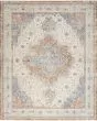 Nourison Essentials Persian NRE07 Beige Blue 10'x14' Area Rug
