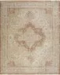 Nourison Essentials Persian NRE07 Beige Rust 10'x14' Area Rug