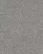 Dramatic Intrigue Silhouette Carpet