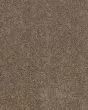 Glamourous Charm II Textured Carpet
