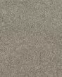 Fabric Of Life II Textured 32oz Carpet