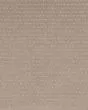 Luxurious Moment Patterned SmartStrand Carpet