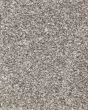 Roxborough Creek Textured 60oz Carpet
