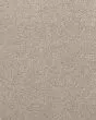 Willow Creek Textured SmartStrand 40oz Carpet