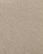 Willow Creek Sandy Beach Carpet