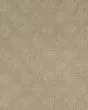 Momentous Beauty Patterned SmartStrand Carpet