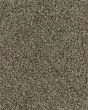 Dove Creek SmartStrand Textured 45oz Carpet