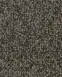 True Distinction EverStrand Carpet