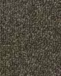 True Distinction Perfect Taupe Carpet