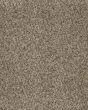 Natural Restoration 767 Carpet
