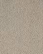 Forever Textured SmartStrand 48oz Carpet