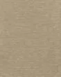 Composed II Desert Sand Carpet