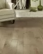 Ocala Maple Oceanside 5" Hardwood