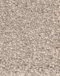 Oracle Sandstone Carpet
