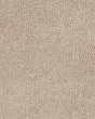 Hillcrest II Ice Coffee Carpet
