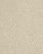 Hillcrest II Textured Nylon 29oz Carpet