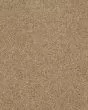 Hillcrest II Natural Wood Carpet