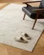 Atlas 3721G Ivory/Beige Area Rug