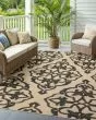 Cayman 1b Sand/Charcoal Area Rug
