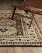 Legacy LGY09 Brown/Multi Area Rug