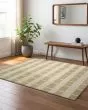 Quinn QUI05 Beige Area Rug