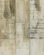 Oxidized Plank Weathered Beach Wood Tile