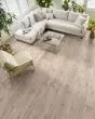 Allegiance + Acc Prestique Pine Pad Plank Luxury Vinyl