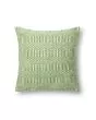 P0339 Green/Ivory 22"x22" Pillow