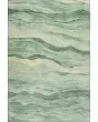 Pacifica PA6 Green 10'x14' Area Rug