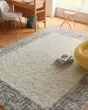 Pacific Shag PCS02 Ivory Grey Area Rug