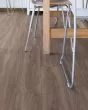 Paladin Plus Cinnamon Walnut Luxury Vinyl