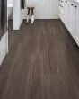 Paladin Plus Cinnamon Walnut Luxury Vinyl
