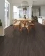 Paladin Plus Cinnamon Walnut Luxury Vinyl