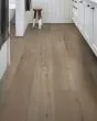 Paladin Plus Driftwood Luxury Vinyl