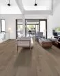 Paladin Plus Driftwood Luxury Vinyl