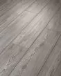 Paladin Plus Fresh Pine Luxury Vinyl