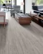 Paladin Plus Fresh Pine Luxury Vinyl