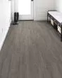 Paladin Plus Fresh Pine Luxury Vinyl