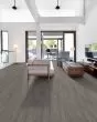 Paladin Plus Fresh Pine Luxury Vinyl