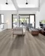 Paladin Plus Lighthouse Luxury Vinyl