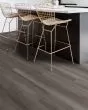 Paladin Plus Oyster Oak Luxury Vinyl