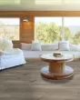 Paladin Plus Sea Glass Luxury Vinyl