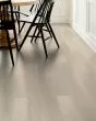 Paladin Plus Silver Dollar Luxury Vinyl
