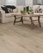Paladin Plus Wild Dunes Luxury Vinyl