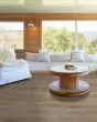 Paladin Plus Wild Dunes Luxury Vinyl