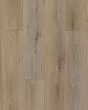 Paladin Plus Wild Dunes Luxury Vinyl